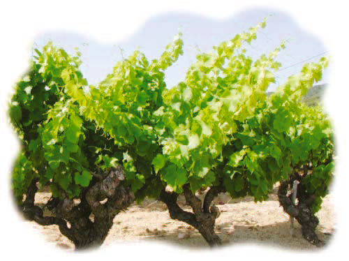 reunion_info_grele_septembre_2016